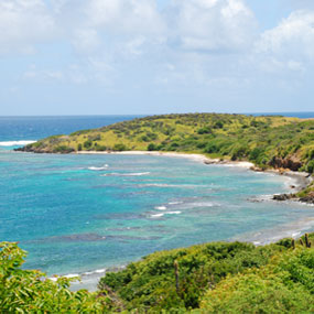 Island Coastline